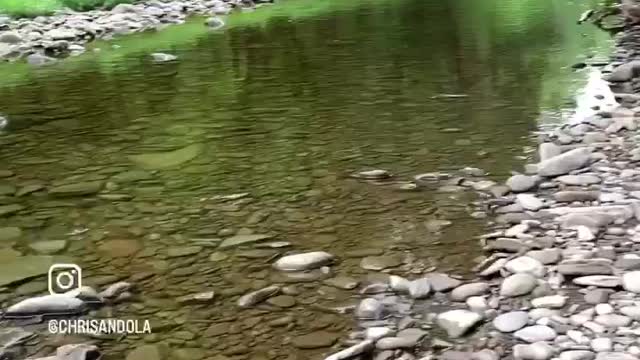 LADY BY THE WATER! CHECK HER OUT