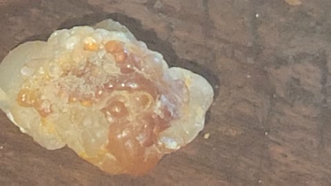 Fire Agate?