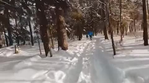 Breakfast escapes