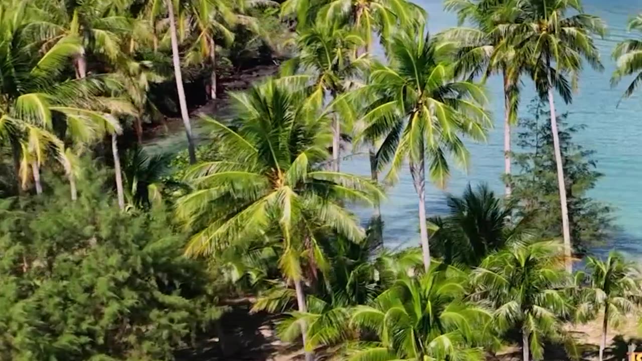 📍 Koh Laoya, Koh Chang, and Koh Lipe, Thailand