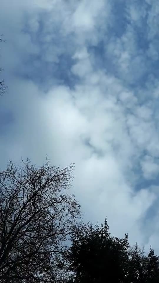 Himmel in Berlin am 16.02.2024 um 13:36 Uhr