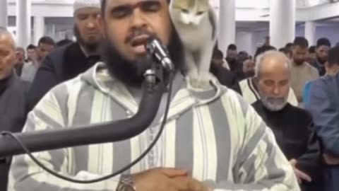 Cat kiss the Sheik in prayer