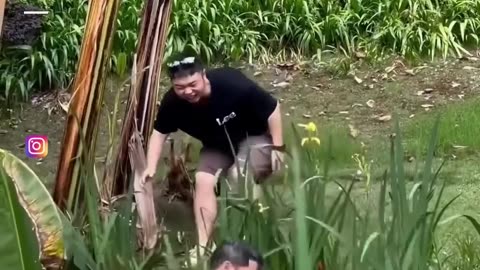 Funny Vids