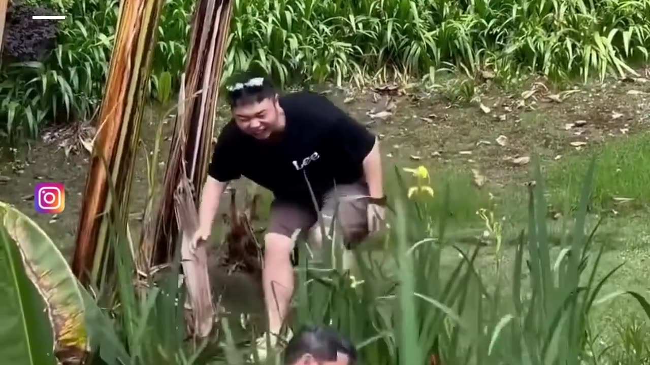 Funny Vids