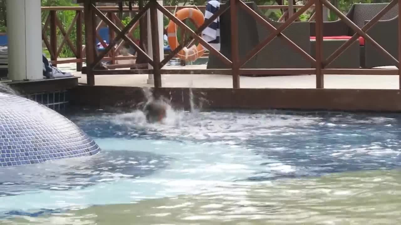 Hotel Pool Jumps Fun - Maldives Holidays