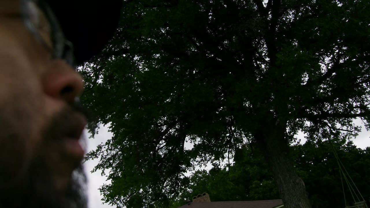 P0000044
