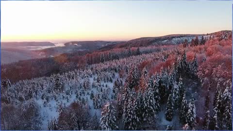 Eduard Glumov - Snowfall Love