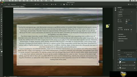 Working with paragraph (area) type