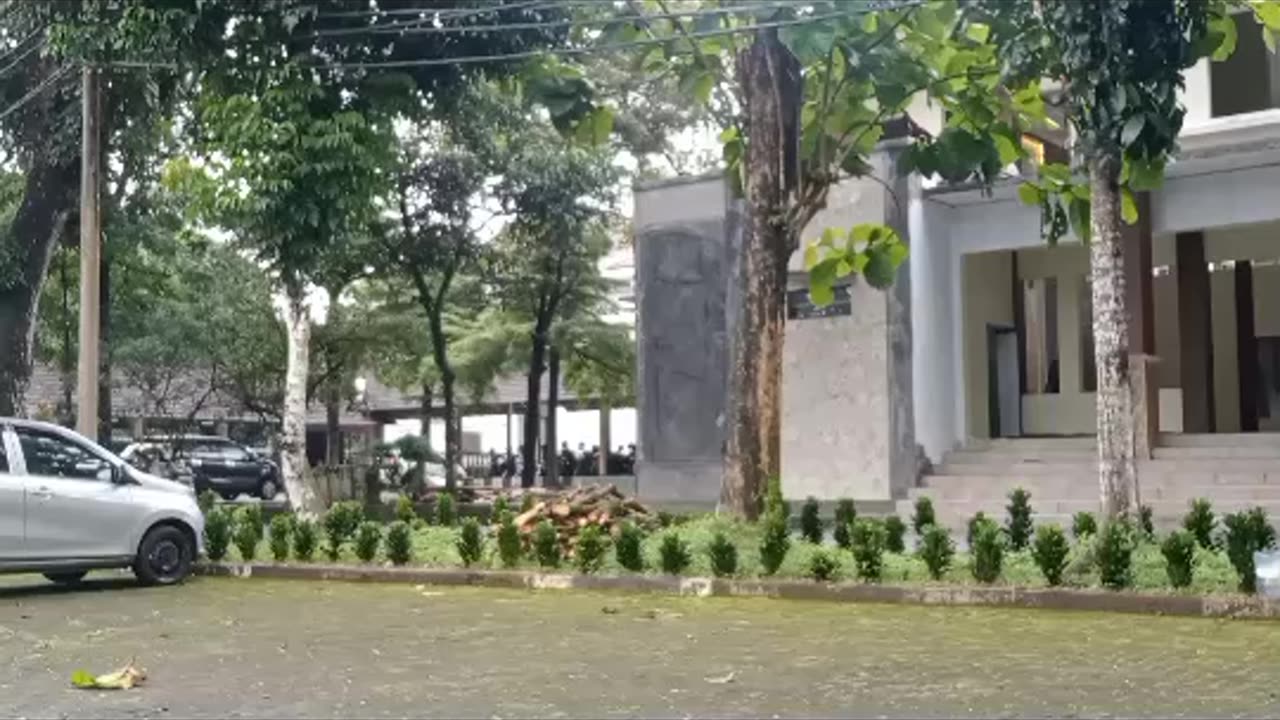 College Plant and Nature, best creature in the world is the nature