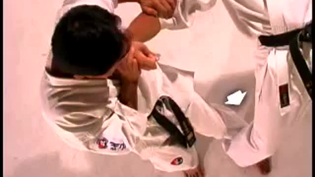 Hapkido