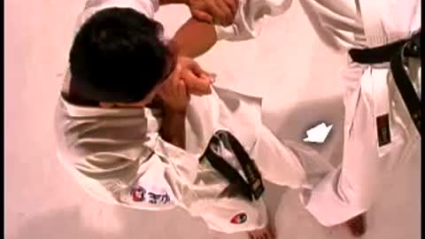 Hapkido