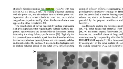 PAYLOAD NANOCAPSULES