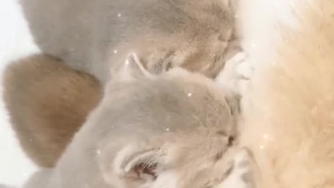 What are you doing,hurry up and eat