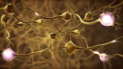 Tinnitus has been linked to memory loss, hearing loss.