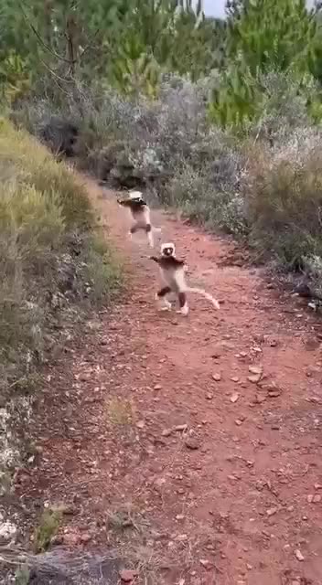 Welcome to our neighborhood