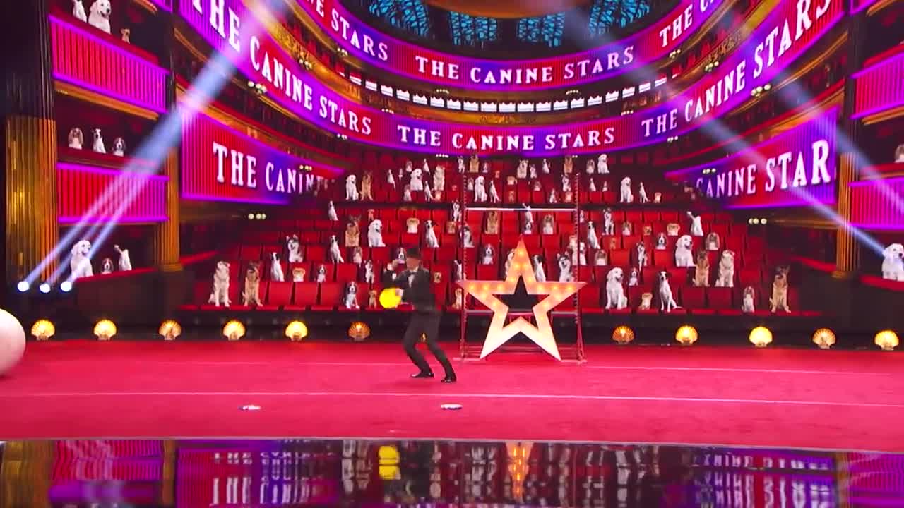 Canine Stars Bring Their Best Dog Performance to AGT! - America's Got Talent 2021