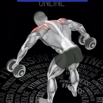 Boulder Shoulder Workout Gym Exercises