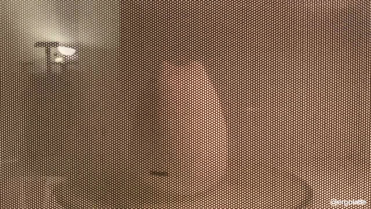 micwowave eggcat