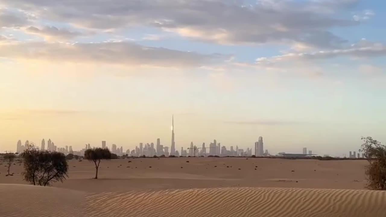 OSTRICH
