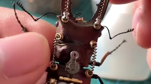 Insect specimen Mechanical Cerambycidae