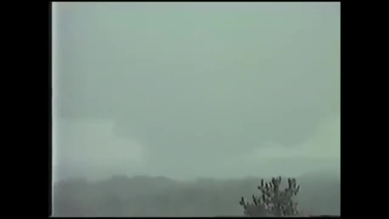Piedmont, Alabama F4 Killer Tornado March 27, 1994