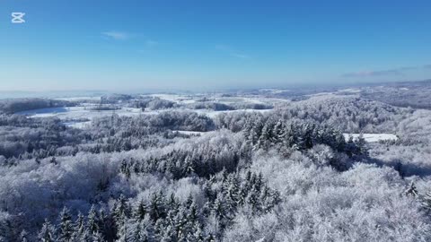 THE MUSIC OF THE WINTER WIND.