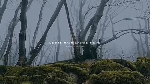 Nature video