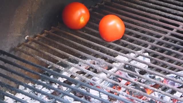 Grilled Vegetables