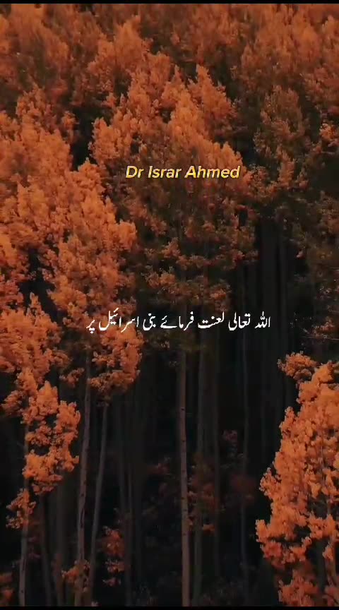 Shirk say mana farmya