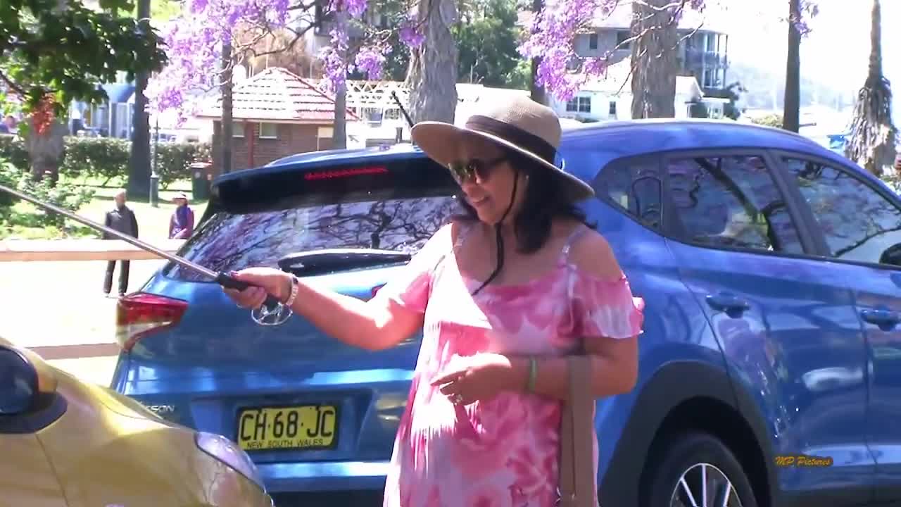 Jacaranda Season in Sydney Spring 2017