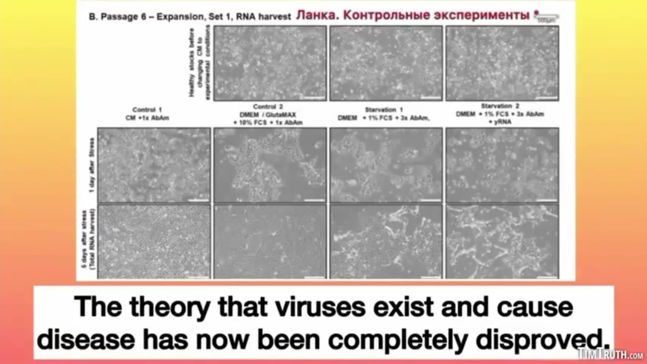 VIROLOGY IS A SATANIC CULT - A THEORY WITH NO PROOF