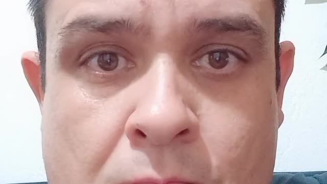 A verdade é / La vérité est
