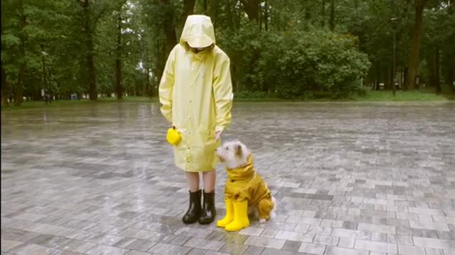 Girl having fun with dog🥰🤗🐹