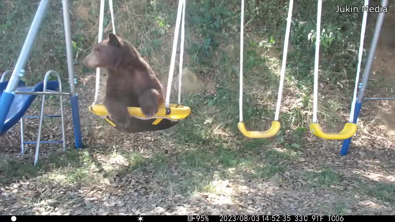 Best Security Cam Videos of the Decade