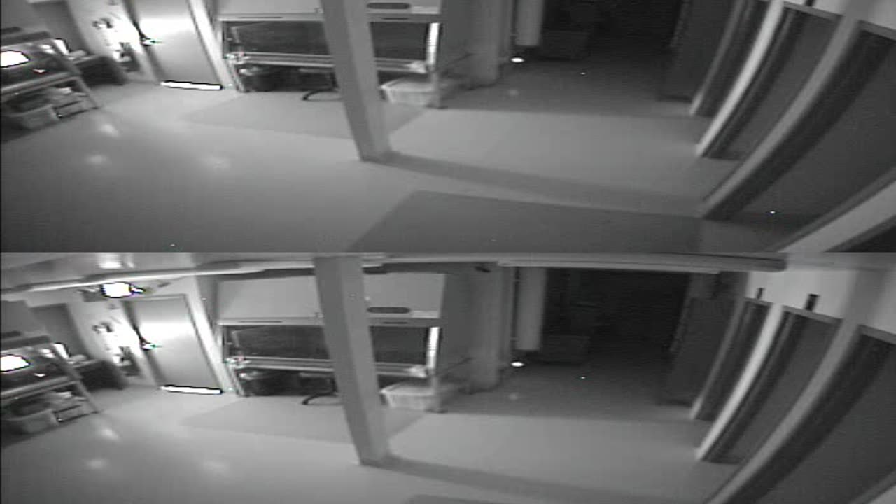 1702CRIB01CribAnalysisArea_2021-01-06_04h00min01s593ms.mp4