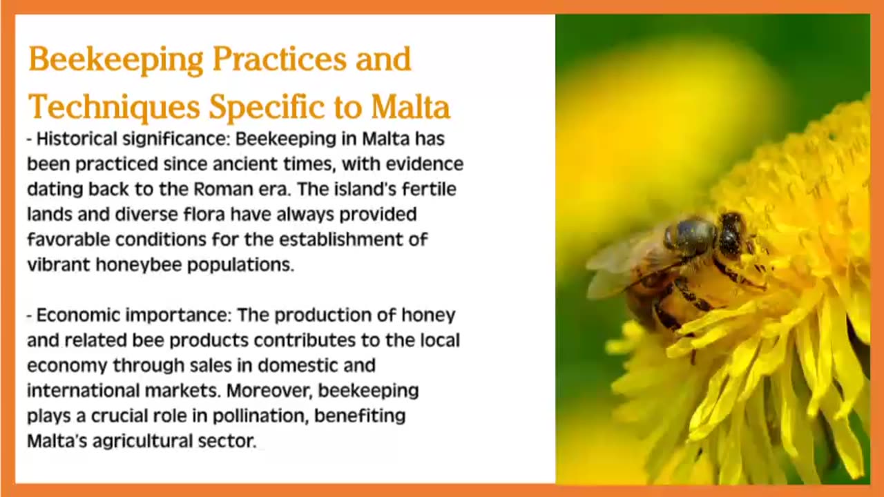 Beekeeping in Malta