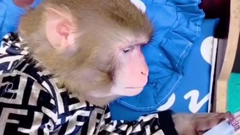 Best Funny Videos Cute People Doing Stupid Thing