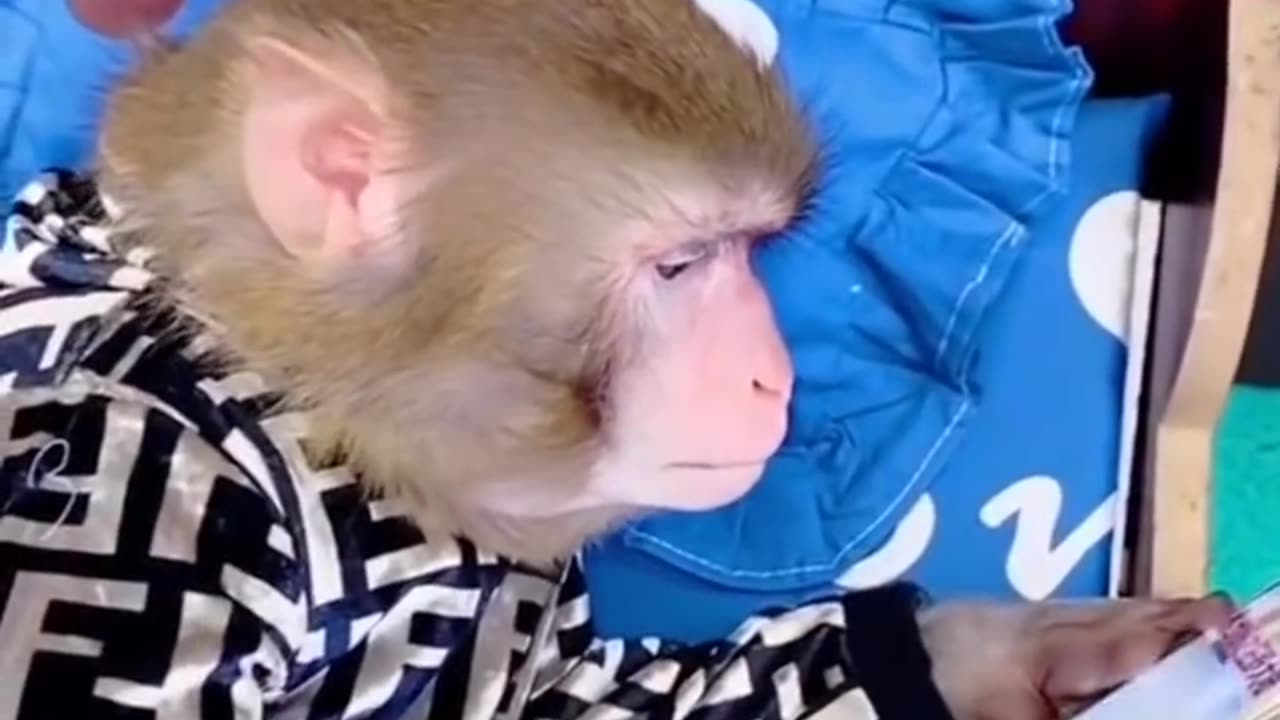 Best Funny Videos Cute People Doing Stupid Thing