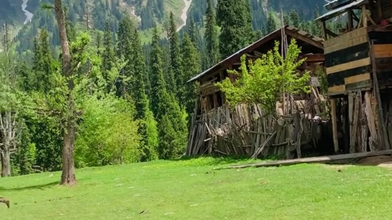 Playing cricket in the heart of mountain #mountain #cricket #BabarAzam #mountaincricket