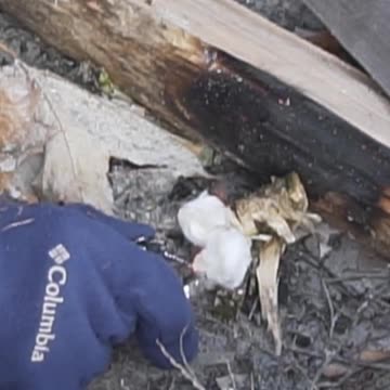 Survival Skill: Battery and Foil Fire