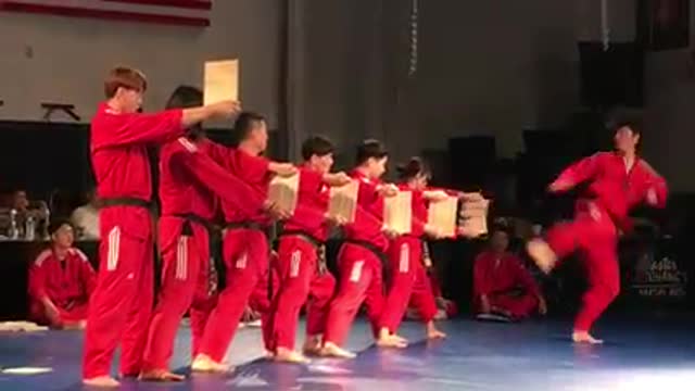 Taekwondo