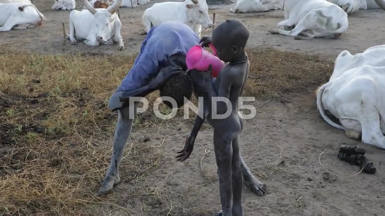 cow urine for washing away mosquitos