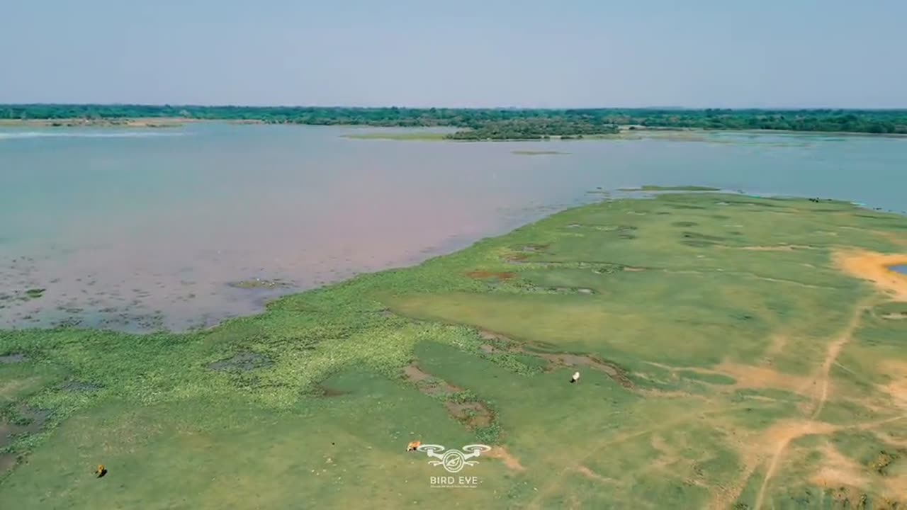 "A Glimpse of Paradise – Polonnaruwa’s Serene Village Life ☘️🥰 | #DroneViews #NaturalBeauty"