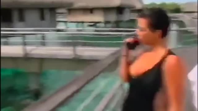 Vines that keep me sane