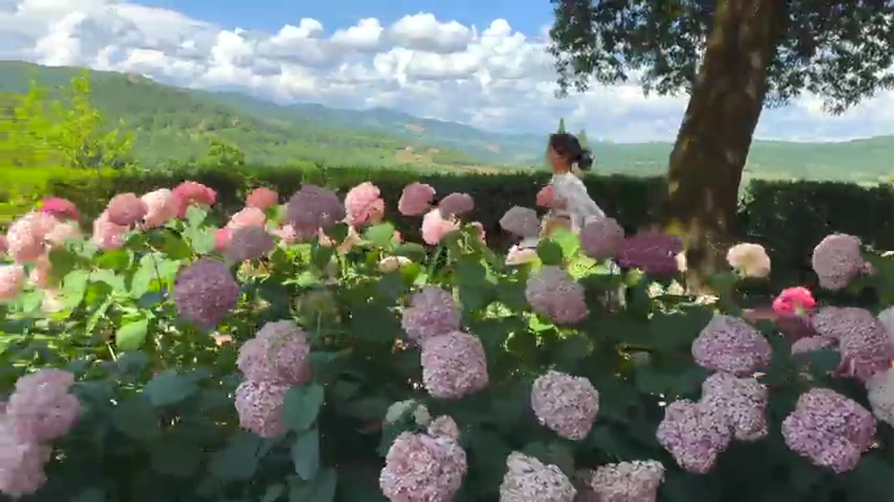 Ap dillon New Song With You