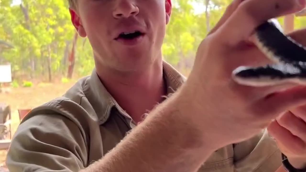 Rescue this keelback snake from under a step of all place..