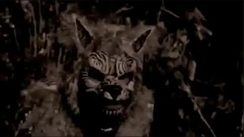 THE WOLF ☞ Dream Killers ☜