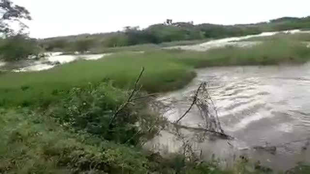 Video: Rompimiento de jarillón causa emergencia en Calamar, Bolívar