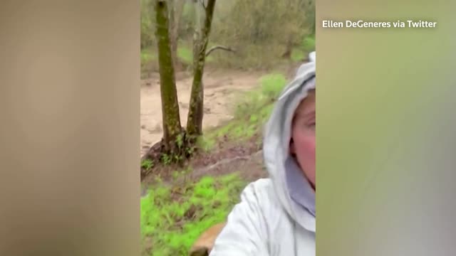 Ellen DeGeneres shares video of heavy flooding