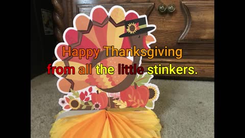 Happy Thanksgiving